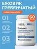 Ежовик гребенчатый мицелий молотый 500 мг MIXTERRA 612918486 купить за 316 ₽ в интернет‑магазине Wildberries