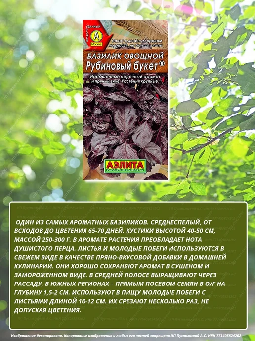 Семена базилик для дома сада посадки, вариант, фото 3