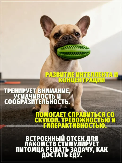 ЗООГЕНИЙ Игрушка кормушка для собак мяч для лакомств и зубов 10 см, голубой, фото 3