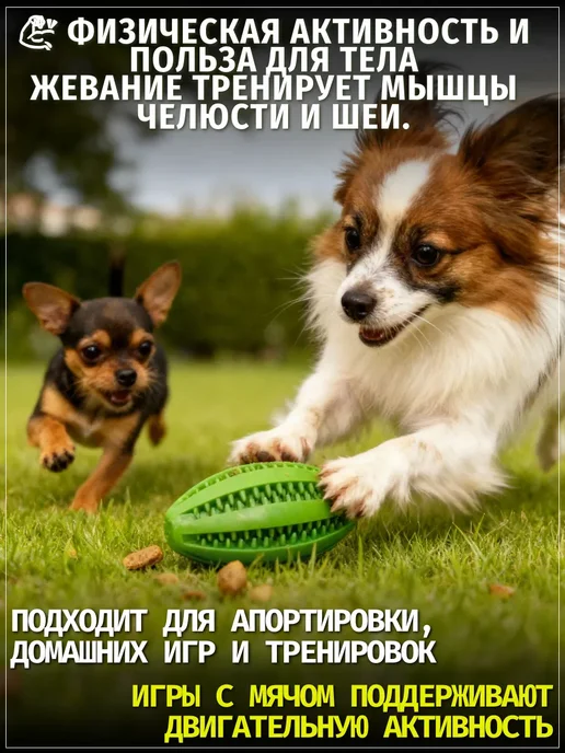 ЗООГЕНИЙ Игрушка кормушка для собак мяч для лакомств и зубов 10 см, голубой, фото 4