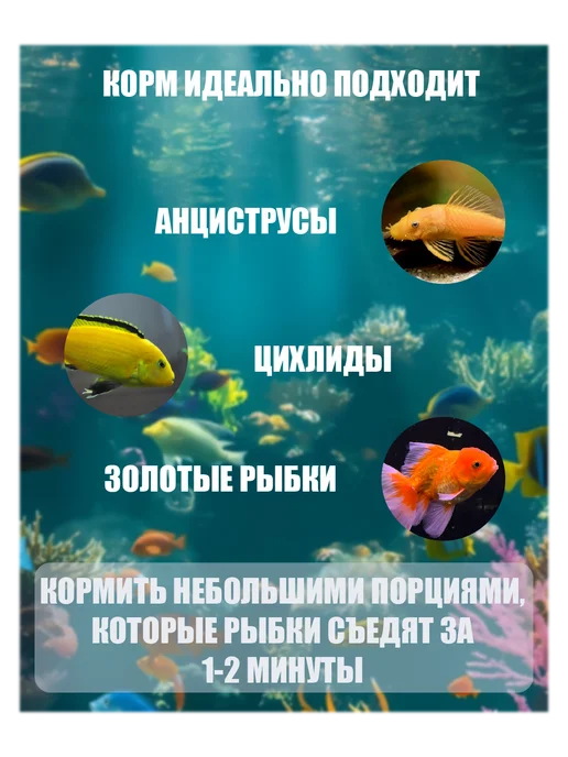Корм для рыбок аквариумных, гранулы, 100г, 100 г, фото 4