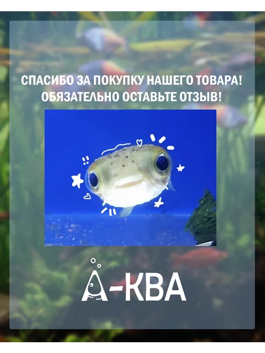 Корм для рыбок аквариумных, гранулы, 100г, 100 г, фото 5