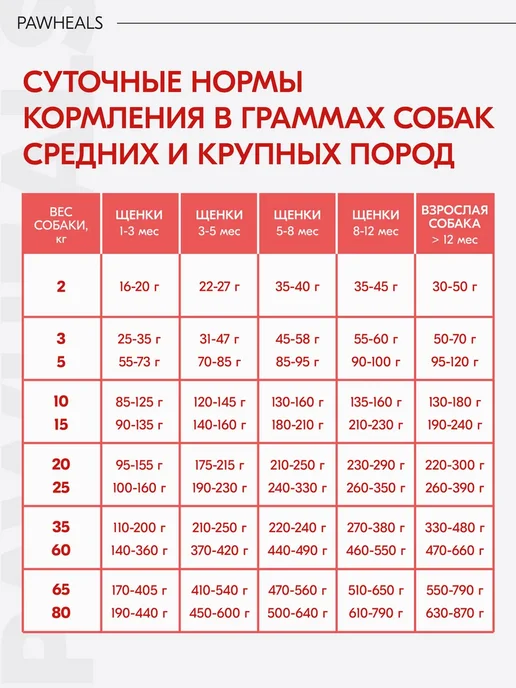Сухой корм The Feed Is Dry Prime для собак, говядина, 2,5 кг, фото 5