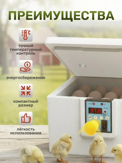Flossify Инкубатор для яиц, белый, фото 2