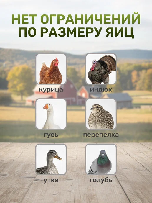 Flossify Инкубатор для яиц, белый, фото 5