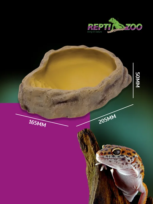 Repti-Zoo Поилка террариумная, 14х11х3,8 cм, 20.5x16.5x5, фото 2
