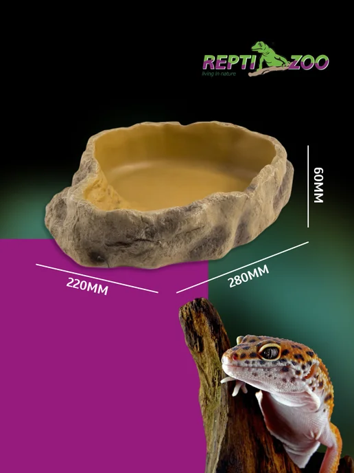 Repti-Zoo Поилка террариумная, 14х11х3,8 cм, 28x22x6, фото 2