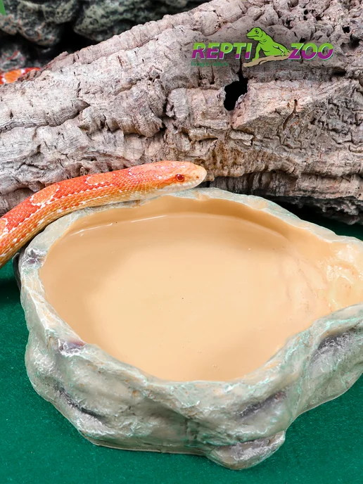 Repti-Zoo Кормушка террариумная, 11х8,7х2,8 cм, 14x10.5x3, фото 5