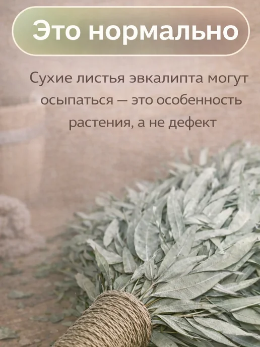 Relax Home Веник для бани эвкалиптовый 2шт, серебристый, фото 6