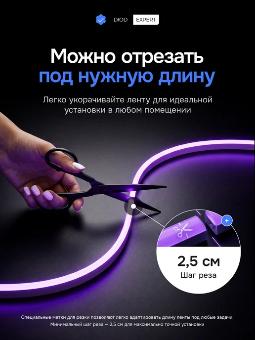 DiodExpert Светодиодная неоновая лента гибкий неон 5 метров с пультом, вариант, фото 2