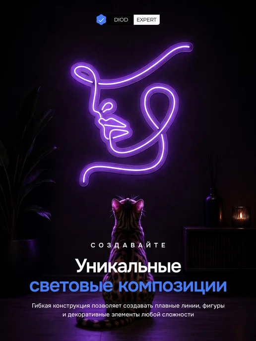 DiodExpert Светодиодная неоновая лента гибкий неон 5 метров с пультом, вариант, фото 5
