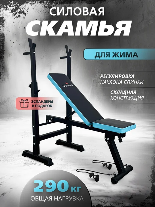 Скамья спортивная для жима и пресса, голубой