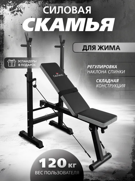 Скамья спортивная для жима и пресса, серый