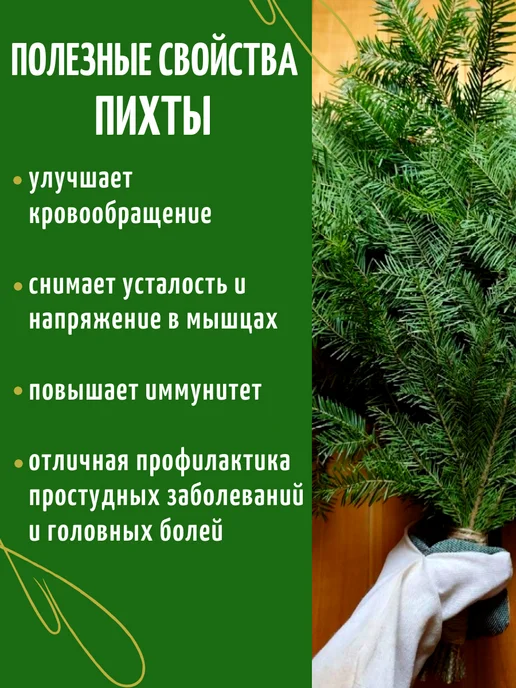 Пихтовый веник для бани и сауны лапник банч, вариант, фото 6