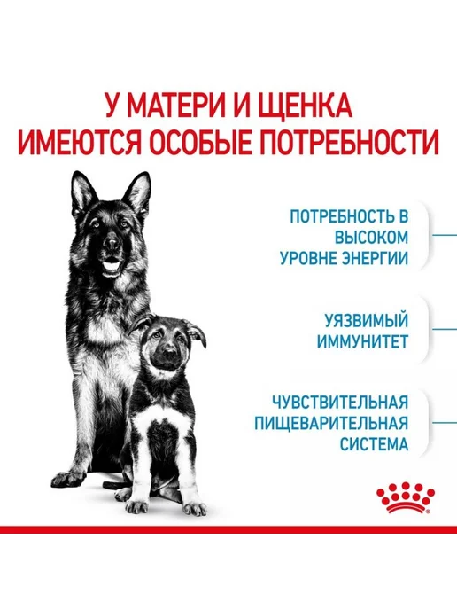 Сухой корм Royal canin Беременных Кормящих для собак, крупные, щенки, 15 кг, фото 5