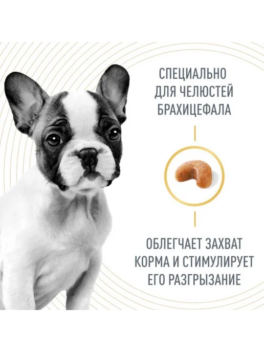 Сухой корм Royal canin Французского Бульдога для собак, щенки, 10 кг, фото 3