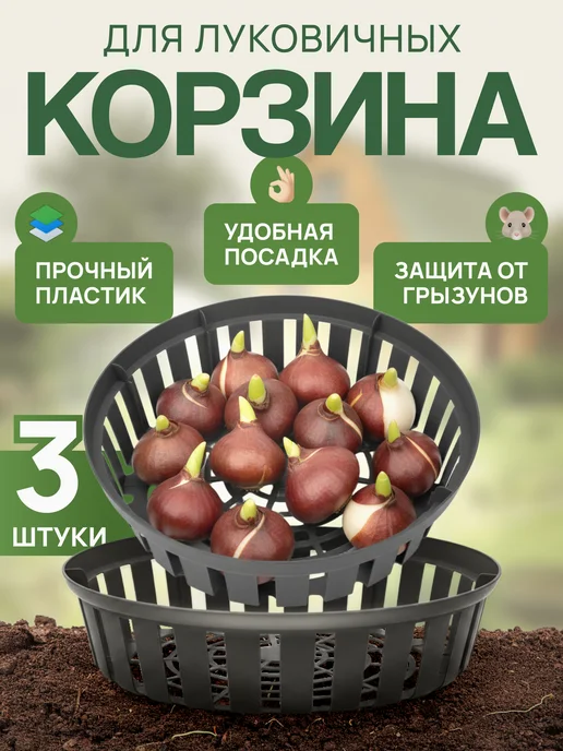 Корзина для луковичных, вариант