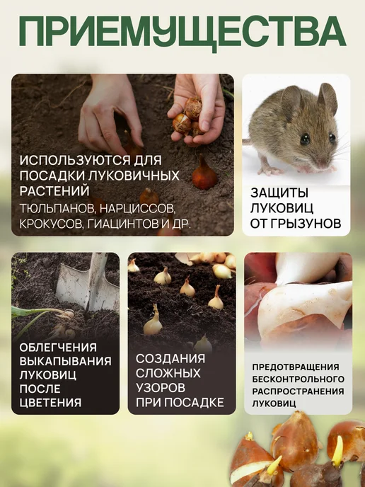 Корзина для луковичных, вариант, фото 3