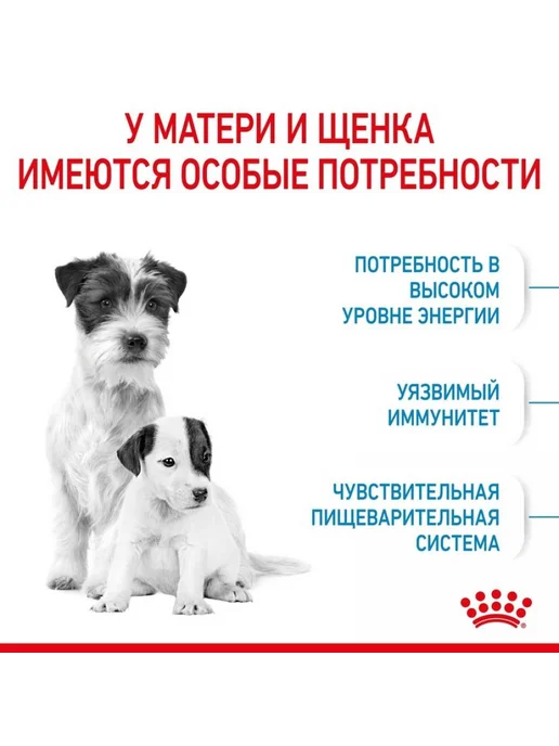 Сухой корм Royal canin Малых Беременных для собак, щенки, 8,5 кг, фото 2
