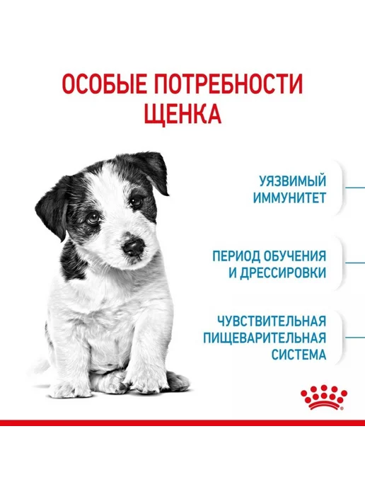 Сухой корм Royal canin Малых Мес. для собак, мелкие, щенки, 4 кг, фото 3