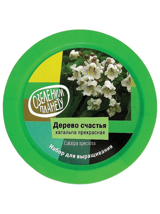 вырасти дерево Набор для выращивания дерева счастья Катальпа, вариант, фото 2