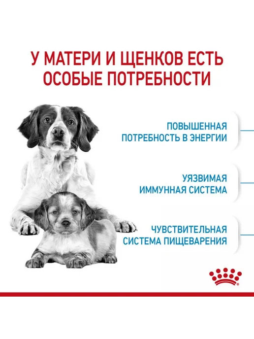 Сухой корм Royal canin Беременных Кормящих для собак, средние, щенки, 4 кг, фото 4