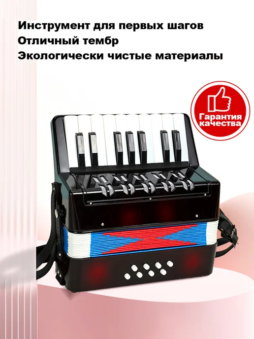 Детский аккордеон 17 клавиш 8 басов, черный