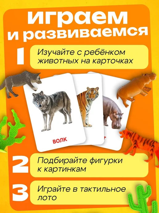 Набор с карточками "Дикие животные" Г.Доман, вариант, фото 6
