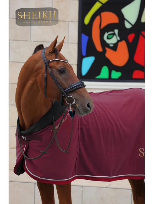 SHEIKH HORSE BRAND Попона флисовая для лошади для верховой езды, конного спорта, красный, фото 6