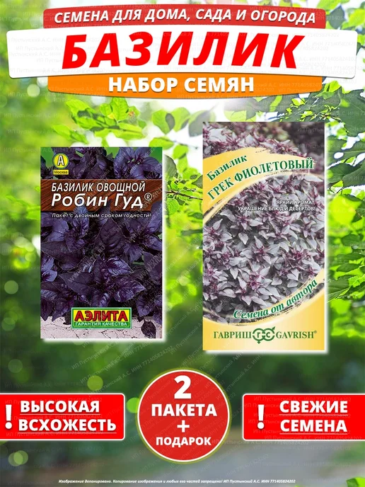 Семена базилик для дома сада посадки, вариант