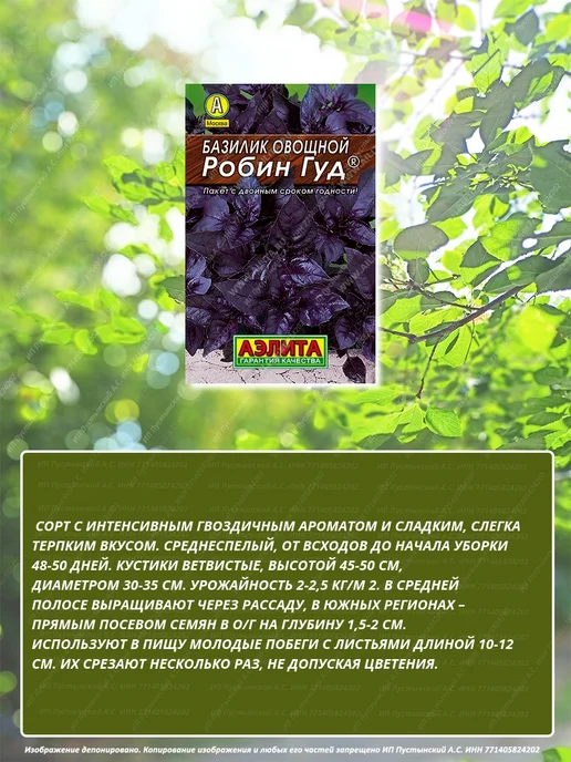 Семена базилик для дома сада посадки, вариант, фото 2