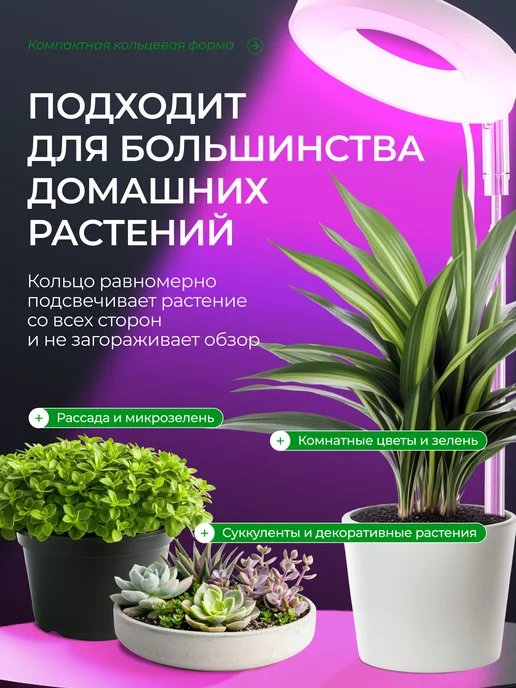 Комфорт Вейв Фитолампа для растений и цветов полного спектра, вариант, фото 2