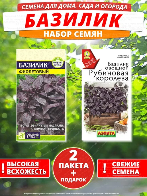 Семена базилик для дома сада посадки, вариант