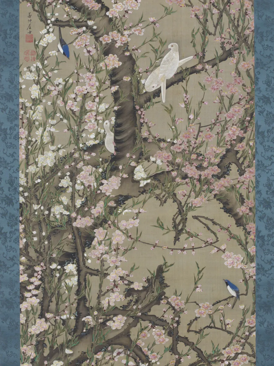 Picture background