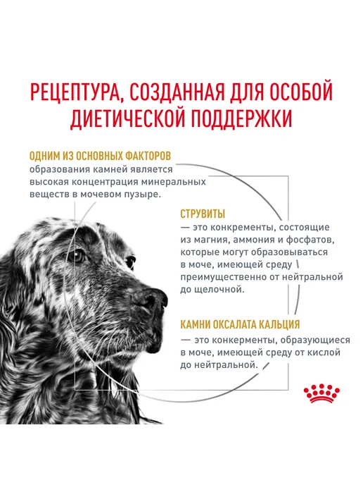 Сухой корм Royal canin Urinary Набор для собак, 2 кг, фото 2