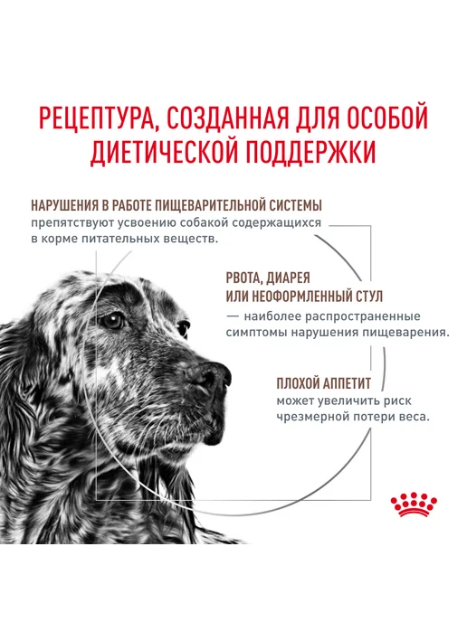 Сухой корм Royal canin Gastrointestinal Набор для собак, 2 кг, фото 2