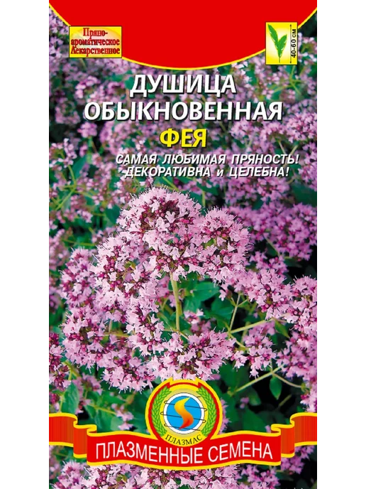 плазменные семена Душица Фея обыкновенная, вариант