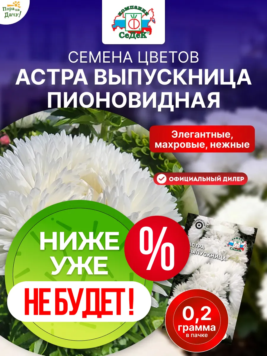 Семена цветов Астра Выпускница китайская, пионовидная 0,2 г