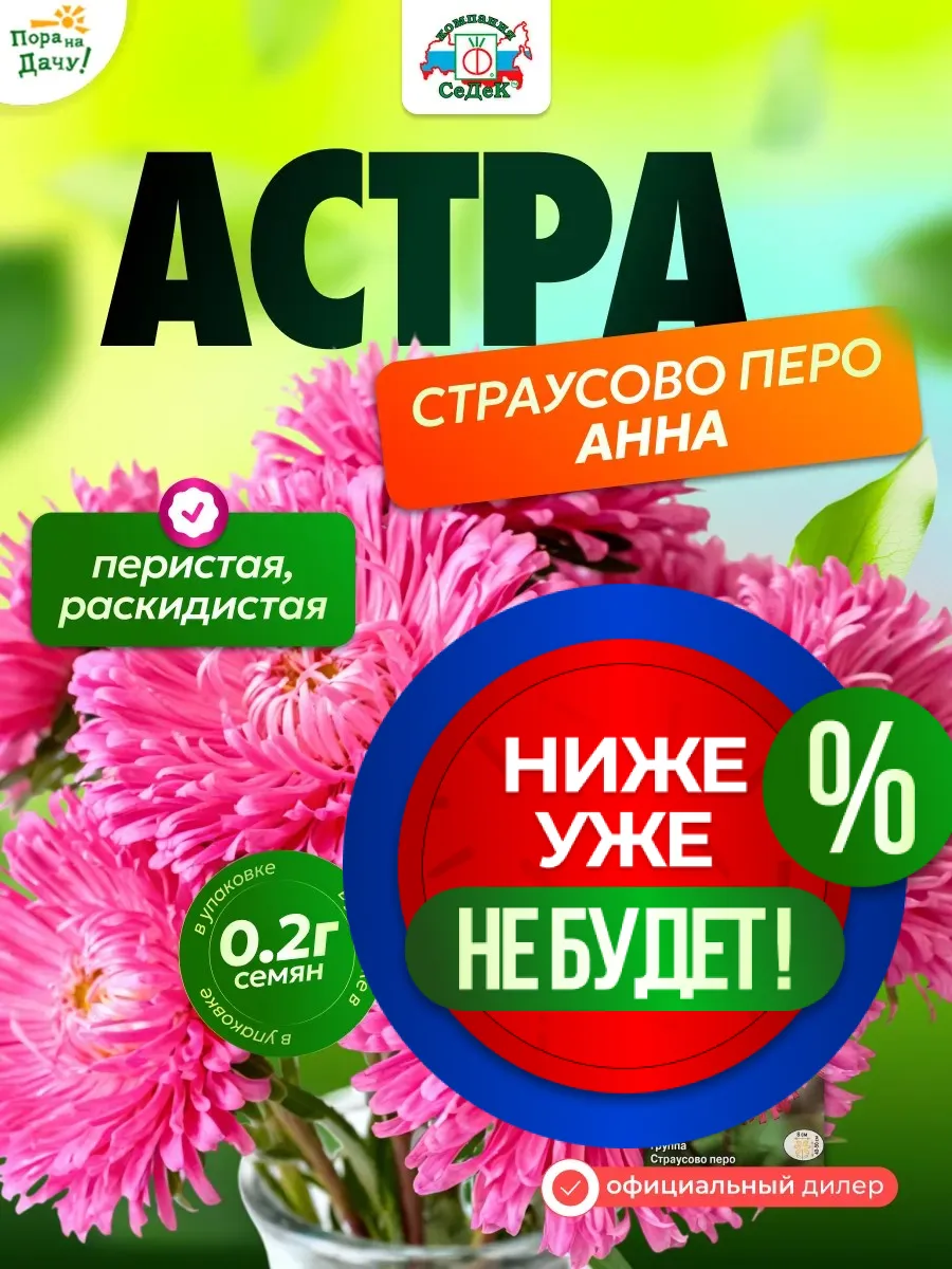 Семена цветок Астра Анна красная 0,2 г