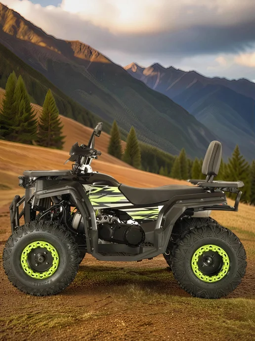 ТЕХНОМОТОРФ Квадроцикл ARMIS 250 (серия 5) черный, черный, фото 2