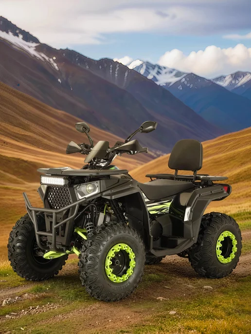 ТЕХНОМОТОРФ Квадроцикл ARMIS 250 (серия 5) черный, черный, фото 3
