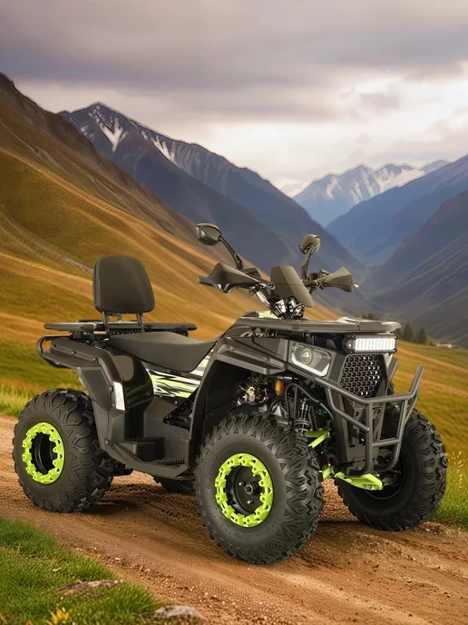 ТЕХНОМОТОРФ Квадроцикл ARMIS 250 (серия 5) черный, черный, фото 5