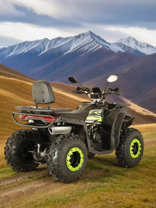 ТЕХНОМОТОРФ Квадроцикл ARMIS 250 (серия 5) черный, черный, фото 7