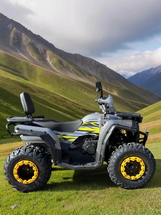 ТЕХНОМОТОРФ Квадроцикл ARMIS 250 (серия 5) черный, серый, фото 4