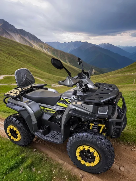 ТЕХНОМОТОРФ Квадроцикл ARMIS 250 (серия 5) черный, серый, фото 5