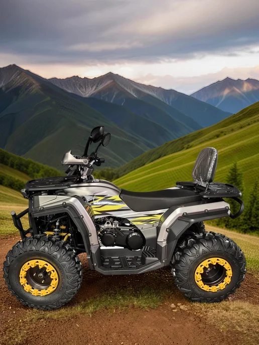 ТЕХНОМОТОРФ Квадроцикл ARMIS 250 (серия 5) черный, серый, фото 7