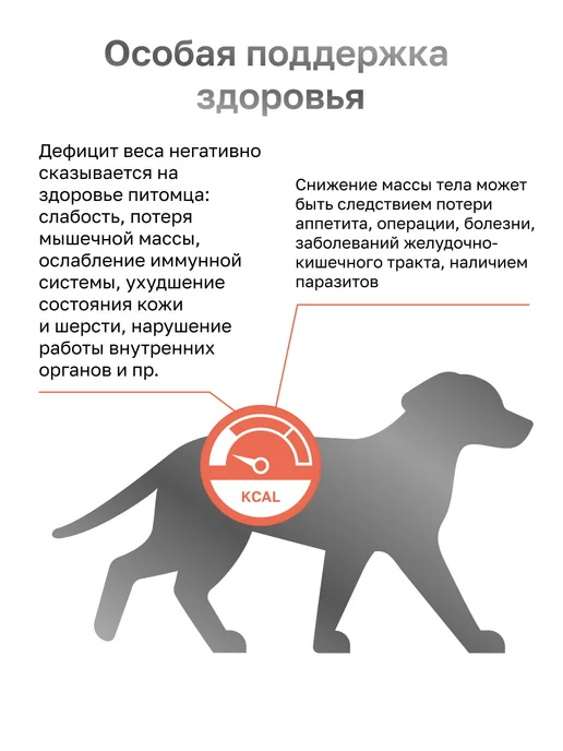 Organix Recovery Vet корм для кошек и собак после операций 12*100г, 100 г, фото 4
