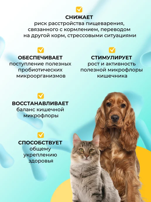 veda Комплекс пробиотиков для кошек и собак, ЛАКТОБИФИД, 20 таб, 20, фото 3