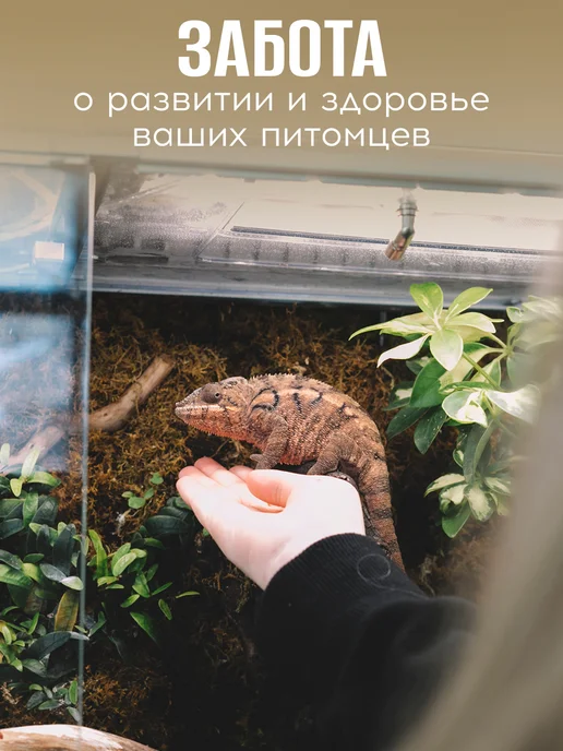 Система орошения увлажнитель для террариума, черный, фото 4