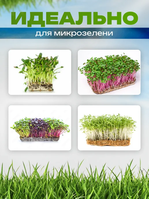 Набор для микрозелени - джутовые коврики+контейнеры 10шт, 10 шт, фото 2